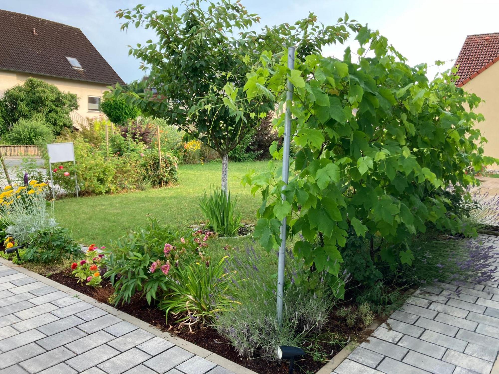 Ferienhaus Koch Бад Щафелщайн Екстериор снимка